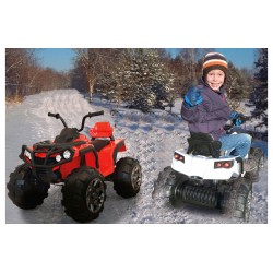 Ride-on Protector Quad 12V red